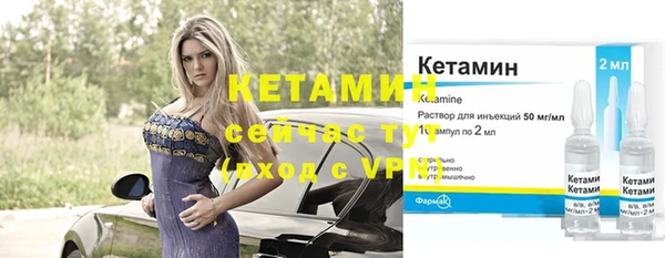 сатива Дмитровск
