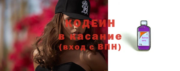 сатива Дмитровск
