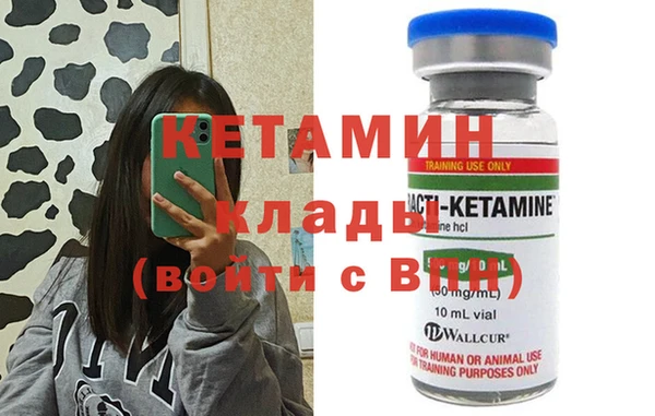 сатива Дмитровск