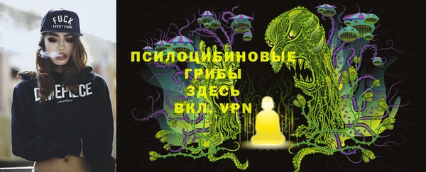 дживик Дмитров