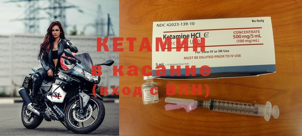 сатива Дмитровск