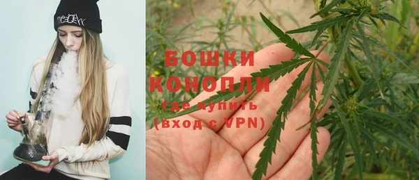 дживик Дмитров