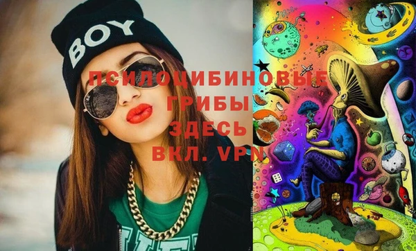 дживик Дмитров