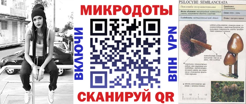 Галлюциногенные грибы мухоморы  Верхняя Тура 
