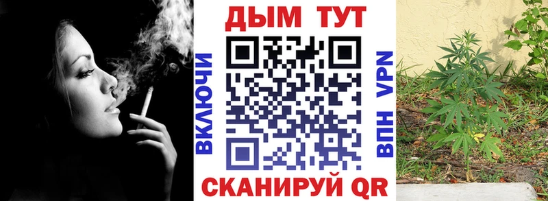 Каннабис Bruce Banner  как найти   Верхняя Тура 